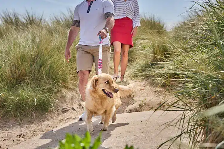 Walking dog on the beach