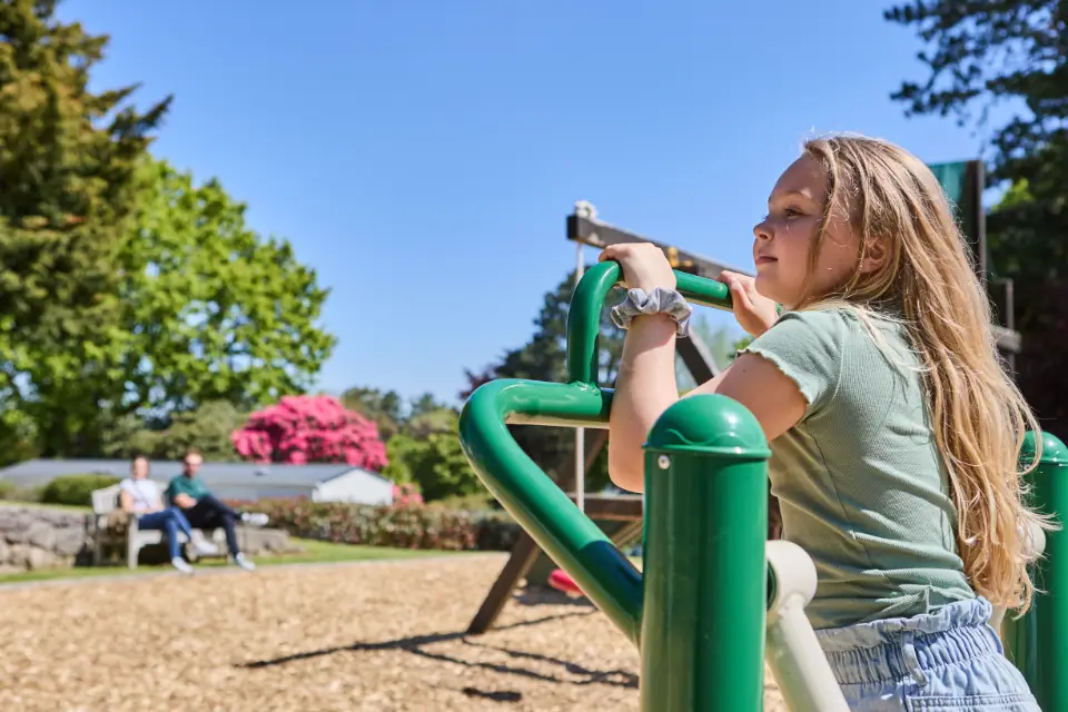 Forest holidays uk playpark