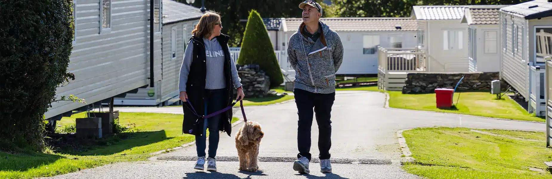 Dog friendly caravan holidays at Snowdon View