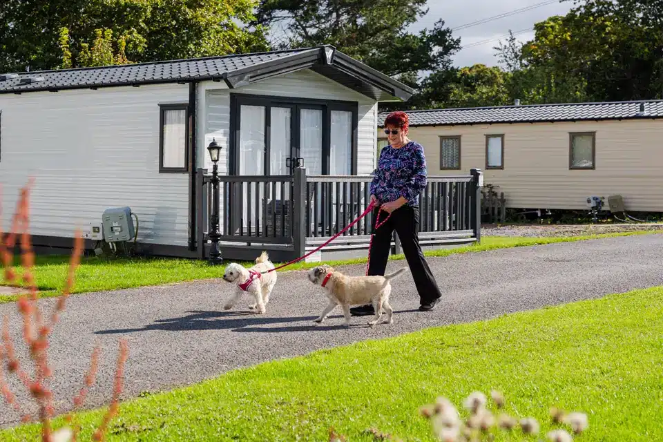 Dog friendly stays